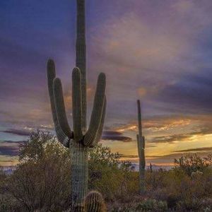 Meet your Posher, Albert